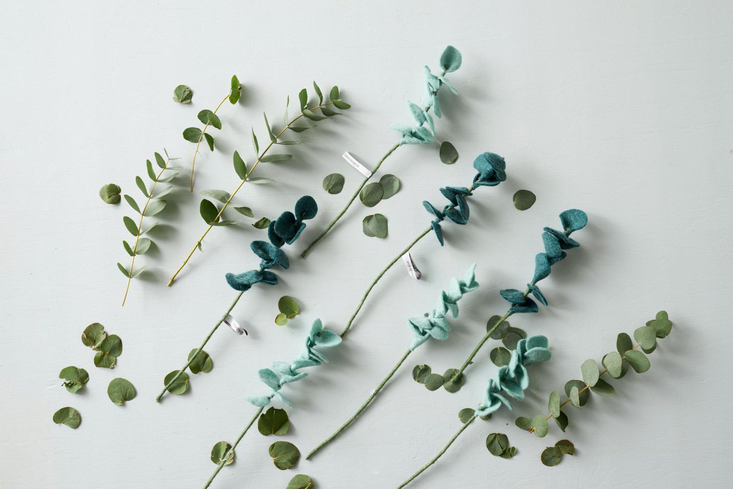 Eucalyptus Dark Green | Endless Flower