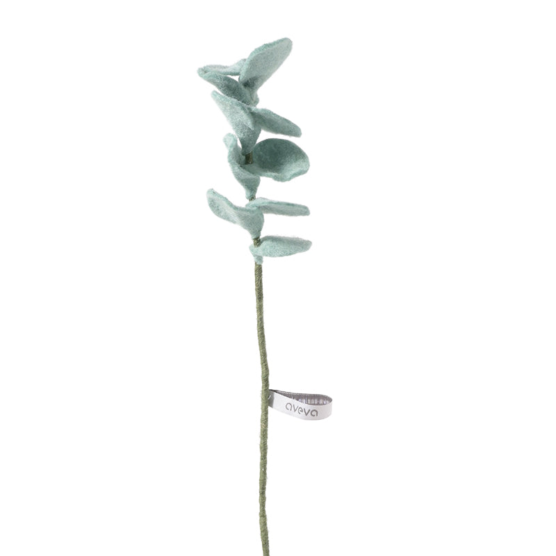 Eucalyptus Silver Green | Endless Flower