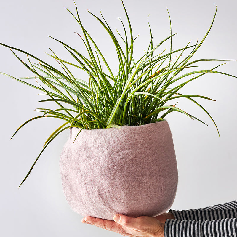 Lavender L | Wool Bloempot